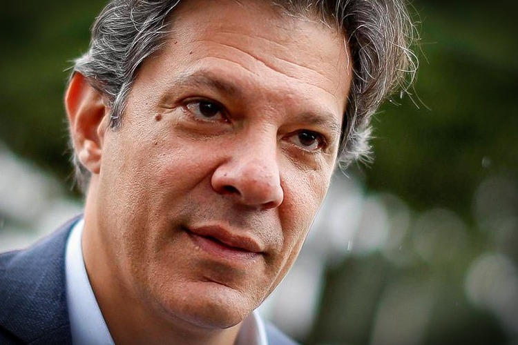 haddad_reproducao