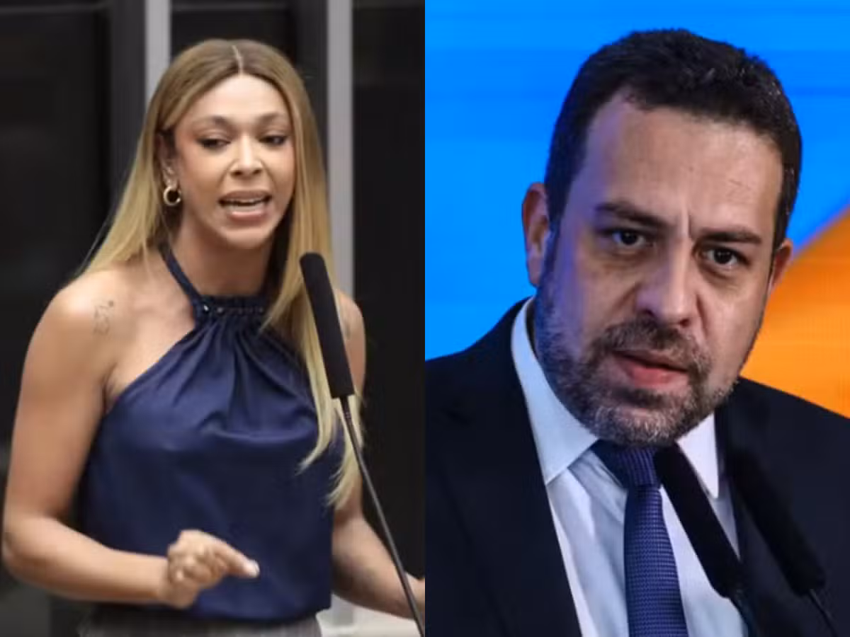 erika hilton boulos psol
